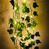 Tianbi Ivy Vine String Lights - Ghirlanda di luci artificiali a LED, a forma di foglia verde, a batteria, per decorazione di casa, giardino, matrimonio