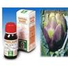 Specchiasol CARCIOFO 9 50ML TM