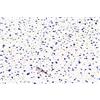 d-c-fix pellicola adesiva per mobili Terrazzo Neo 67,5 cm x 2 m - pellicola decorativa lavabile e autoadesiva per cucina, armadio, tavolo & davanzale - moderna & sostenibile