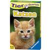 Ravensburger 20421 - Quartetto animali gatti, classico per 3 - 6 giocatori dai 4 ai 12 anni, 32 razze di gatti