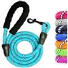 petlux Guinzaglio per Cani, Nylon Elastico e Riflettente Resistente 1,5mt Impugnatura Imbottita Antiscivolo Addestramento per Cani (Celeste)