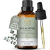 AVD ORGANICS Olio essenziale di eucalipto 100% puro e naturale - Olio essenziale di grado terapeutico premium per bagno aromatico, capelli - 1 fl. Oncia (30 ml (confezione da 1))(Eucalipto)