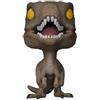Funko Pop! Movies: Jurassic Park - Velociraptor- Figura in Vinile da Collezione - Idea Regalo - Merchandising Ufficiale - Giocattoli per Bambini e Adulti - Movies Fans