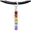 Iri jewelry Charm Bandiera Arcobaleno LGBTQ+ Pride Argento 925 Placcato Platino Collana