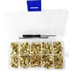 Tiardey 110 Pezzi Viti Chicago 4 5 6 8 10 12mm Viti per Rilegatura di Libri Rivetti Bottoni Chicago per Fai da Te Decorazione in Pelle Borse Artigianato Collari Cinture Libri (Oro)