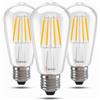 BHMAOYN 12V 24V E27 LED Lampadina 6W ST64 Lampadine Bianca Calda 2700K 12-24V Antique Retro E27 LED Luci 60W Equivalente,Per Sistema Solare,Camper Marine,Camper,Garage,Set di 3