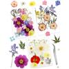Cinvo 56pcs Vera goffratura Secco e Foglie petali secchi naturali Fare Candele con Pinze in resina Gioielli Sapone Unghie pendenti Caso del telefono Artigianato