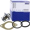 MAHLE Behr Thermot-Tronik TX 13 80D - Termostato, Refrigerante