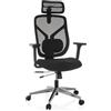 HJH Office sedia da ufficio ergonomica CASSILIS B sedia girevole in rete, schienale regolabile con supporto lombare, altezza fino a 220 cm, nero