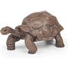 Papo - Statuetta Tartaruga delle Galapagos Realistica - 3 Anni + - Collezione La Vita Selvaggia - Gioco Educativo Rettili Esotici - Idea Regalo Giocattolo Bambina Bambino