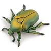 PAPO - Statuetta Cetonia Dorata Realistica - 3 Anni + - Collezione Animali del Giardino - Gioco Educativo Insetti - Idea Regalo Giocattolo Bambina Bambino