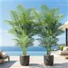 Keeplush Piante Finte da Interno 180cm Palma Piante Artificiali da Esterno Piante Finta Alta Soggiorno Decorazioni Camera da Letto Balcone (2 PACK)