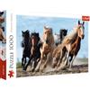 Trefl - Puzzle Cavalli al galoppo - 1000 Elementi, cavalli al galoppo, cavalli di diversi colori, galoppo, puzzle fai da te, intrattenimento creativo, regalo, divertimento, puzzle classici