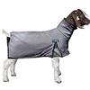 Weaver Livestock Weaver Leather ProCool - Coperta di capra con bordatura riflettente, extra piccola, grigio
