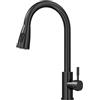 Amdoticknpf Rubinetto Lavello Cucina, Miscelatore Cucina con 2 Modalità Acqua Doccetta Estraibile, Rubinetti Monocomando Lavello Girevole a 360°, Facile da Installare, Acqua Fredda e Calda, Nero