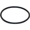 FLUVAL Motore ad Anello per filtri FX5 e FX6
