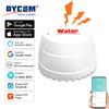 DYGSM Tuya WiFi rilevatore di perdite d'acqua sensore di inondazione Smart Life APP monitoraggio remoto allarme di inondazione sicurezza di troppopieno con Alexa Google