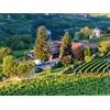 Smartbox 1 notte nei vigneti di una cantina delle Langhe con visita e degustazione vini per 3