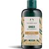 The Body Shop REV Ginger Shampoo Antiforfora 250 ml