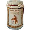 Mellarius Polline - 225 gr