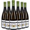 Tenuta di Vaira Bolgheri DOC Vermentino Caccia al Palazzo 2025 Box da 6 bottiglie