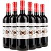 Tenuta di Vaira Bolgheri Rosso DOC Caccia al Palazzo 2023 Box da 6 bottiglie