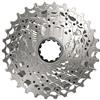 SRAM PACCO PIGNONI XG-1250 XDR 12V 10-30