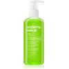 Sesderma Hidraloe Hidraloe 250 ml