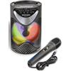 BONTEMPI CASSA WI-FI + MIC FILO