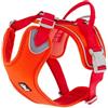HURTTA PETTORINA HURTTA WEEKEND WARRIOR ECO ROSA CANINA. 40-45CM