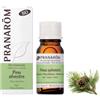Pranarôm PRANAROM PINO SILVESTRE OLIO ESSENZIALE BIO 10 ML