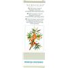 VEGETAL PROGRESS Srl Nervolio® Vegetal Progress 50ml