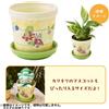 Pokémon Center Vaso da fiori Pokemon Center Wild Blooms 3,7"H - design Pokémon floreale in c...