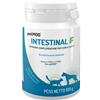 CHEMI-VIT Srl PETMOD INTESTINAL F 100G