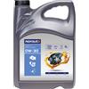 NORAUTO Olio motore NORAUTO C2 BMW LL-12FE 0W30 5 Litri