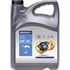 NORAUTO Olio motore NORAUTO C4 Renault RN 0720 Mercedes MB 226 51 5W30 5 Litri