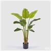 EDG Enzo De Gasperi Banano con Vaso Pianta Artificiale H 120 Cm Verde