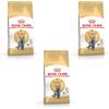 Royal Canin British Shorthair - Cibo completo per gatti adulti, 3 x 400 g