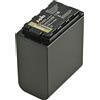 Jupio ProLine VW-VBD98 / AG-VBR118G 13400mAh (senza indicatore LED)