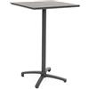 Bizzotto TAVOLO BAR ALTO CLARET 70X70HPL ANJA60/DAR