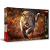 Trefl Premium Plus Quality - Puzzle Photo Odyssey: Leopardo selvaggio - 1000 Pezzi, Foto Uniche, Tessere Perfettamente Abbinabili, per Adulti e Bambini a partire dai 12 Anni