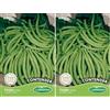 Germisem Contender Semi di Fagioli Francesi 100 g (Confezione da 2)