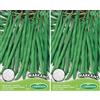 Germisem Markant Semi di Fagiolo Rampicante 100 g (Confezione da 2)