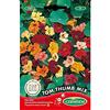Germisem Tom Thumb Mix Semi di Nasturzio 5 g