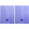 Calligraphe 73006C Copertina Cristalux viola - 17x22 cm - 22/100 con Portaetichetta - PVC Trasparente Liscio (Confezione da 2)