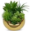 Arborus Piante grasse artificiali da 17 cm, in vaso, per interni, in vaso rotondo in ceramica dorata, realistica, per davanzale della finestra, tavolo da ufficio, casa, bagno, soggiorno, decorazioni