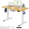 FLEXISPOT Scrivania Regolabile in Altezza Basic - Con Gestione Cavi, Ganci e Piano Monoblocco, Scrivania Ergonomica per Home Office (120x60 cm, Acero)