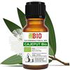 Laborbio Cajeput Bio Olio essenziale 100% Puro 10 ml - Uso interno Terapeutico Alimentare Diffusori Aromaterapia Cosmetica Cucina - Laborbio