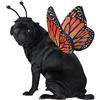 California Costumes California Costume Collections PET20164 - Costume da farfalla Monarca, taglia M