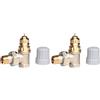 Danfoss 013G0001 Valvola Termostatica Ra-Fn 10, Grigio, 3/8 (Confezione da 2)